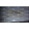 Roland 093E461040 - Mahle P13145P510 (cartuccia filtro olio)