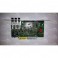 Roland C37U579470