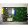 Man Roland B37V702004