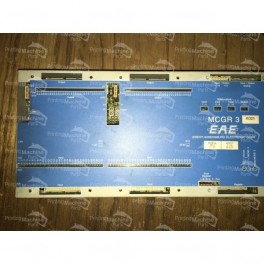 MCGR3 K021 EAE