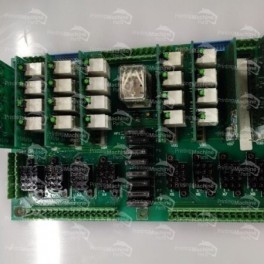 FSV1A EAE